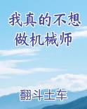 我真的不想做机械师小说推荐