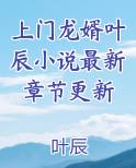 上门龙婿叶辰完整版免费全文阅读精英网