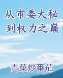 从市委大秘到权力之巅最新