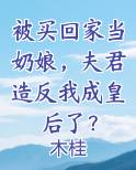被买回家当奶娘，夫君造反我成皇后了？