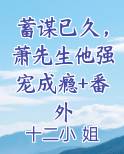 蓄谋已久陆先生请宠我