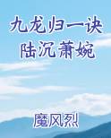 九龙归一诀陆沉最新章节