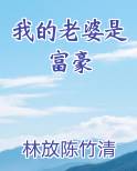 我的老婆是富豪