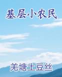 基层小农民小说全文免费阅读