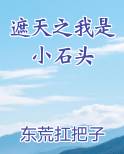 遮天之我是小石头